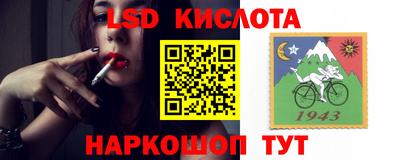 молекула духа Донской