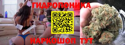 соль ск Дубна