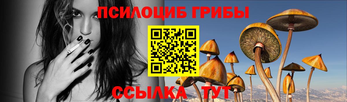 где продают   Вход с VPN  Лениногорск  Псилоцибиновые грибы прущие грибы  Галлюциногенные грибы мухоморы 